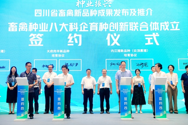 簽約儀式現(xiàn)場。主辦方供圖